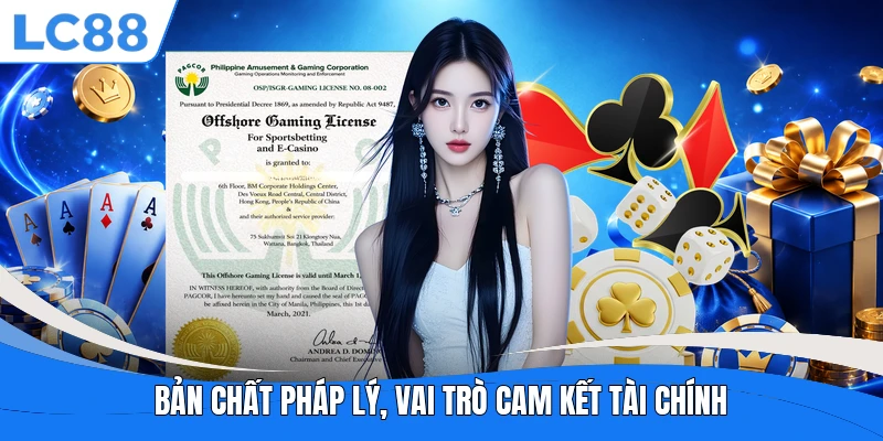 Bản chất pháp lý, vai trò cam kết tài chính